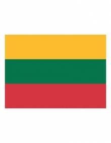 Flaga państwowa Litwy