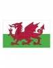 Flaga państwowa Walii